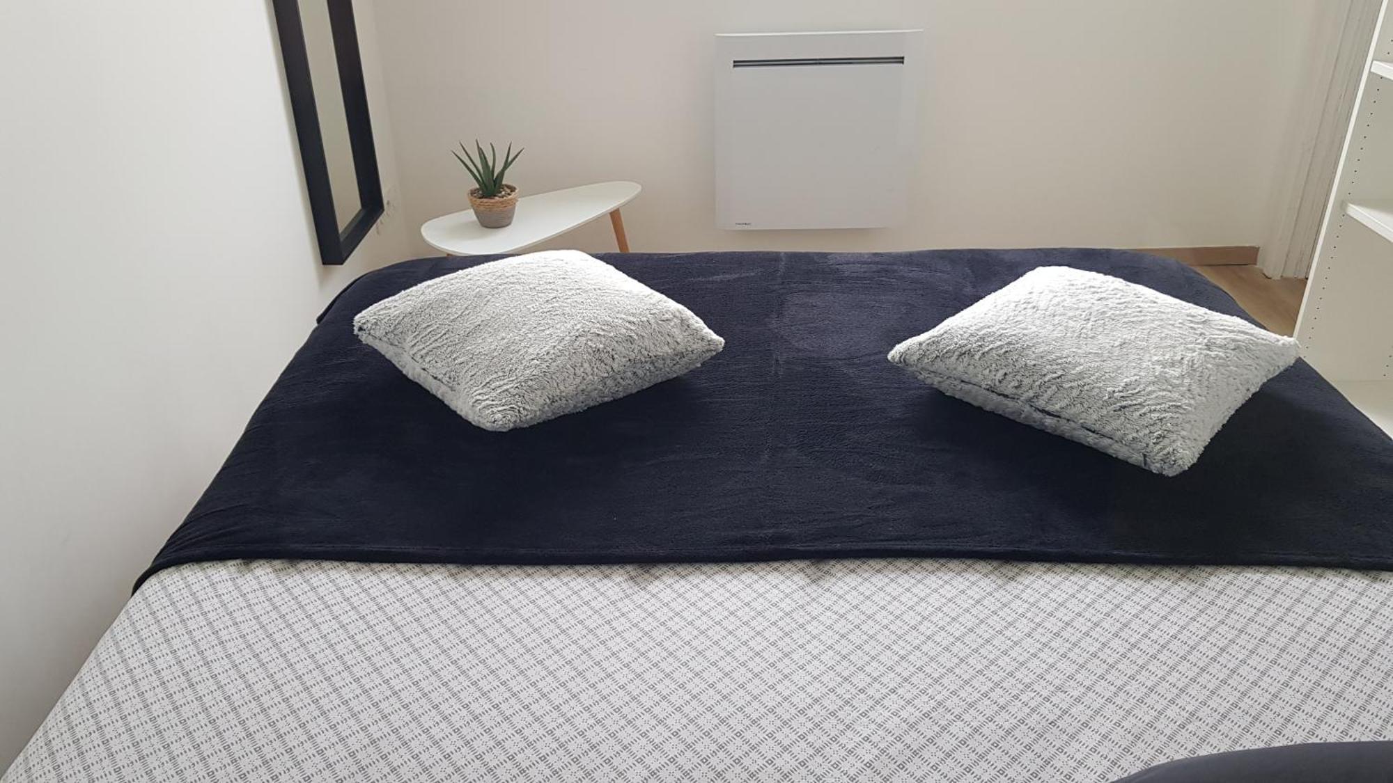 Appartement Vue Montagne - Appt Cosy Et Calme - Netflix - Fibre à Grenoble Extérieur photo